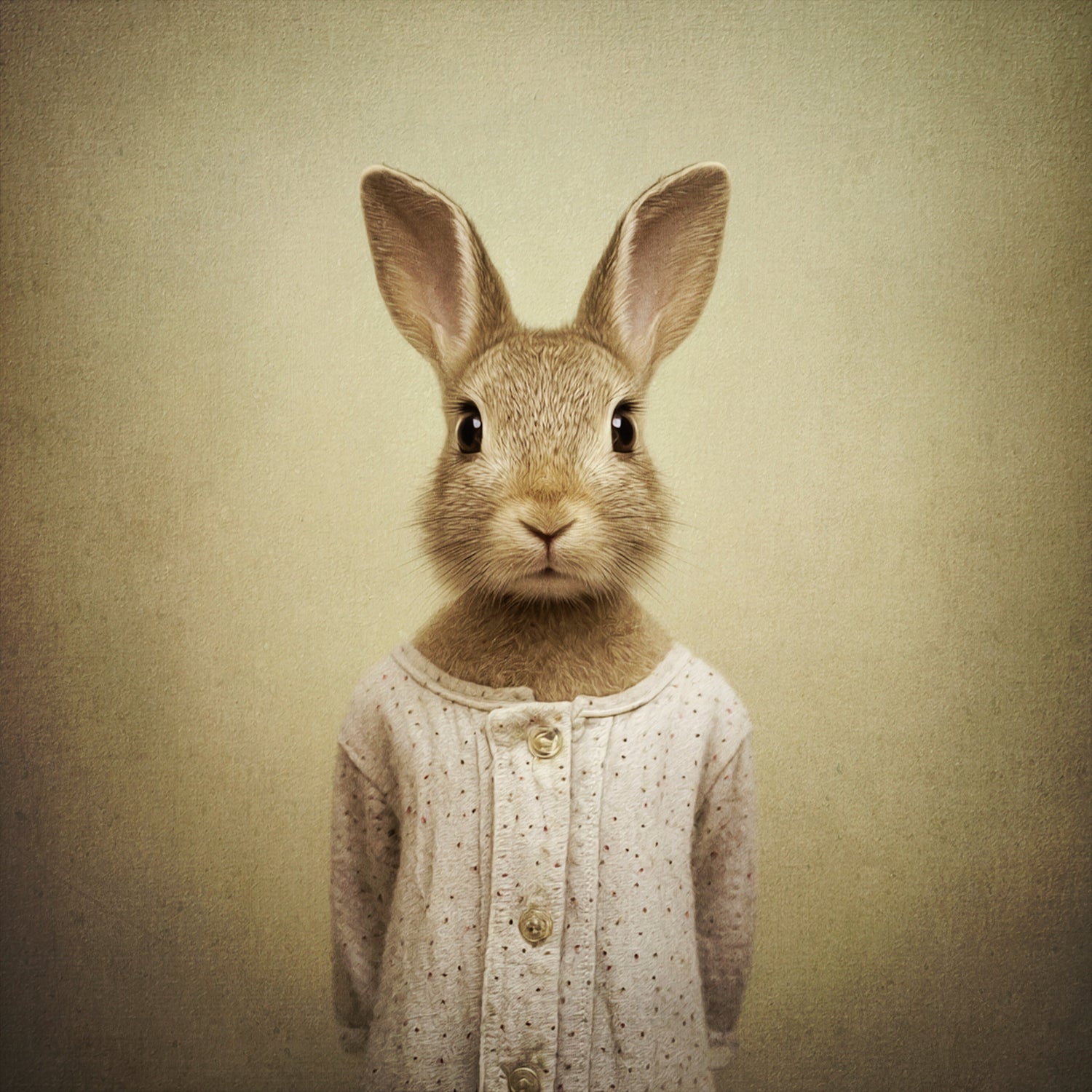 Illustratief en artistiek dierenportret op canvas, unieke vintage en fine-art stijl