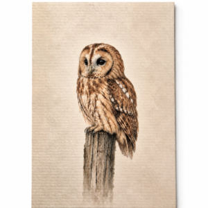 Bosuil – Handmade Art Card
