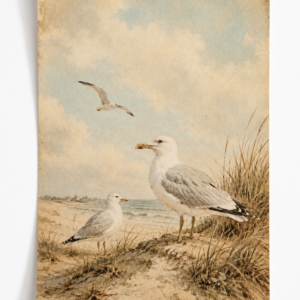 Meeuwen aan Zee - Handmade Art Card